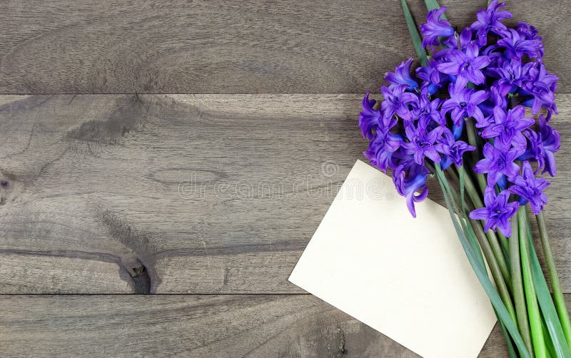 Bouquet of spring flowers on a wooden table. copy spaces royalty free stock image