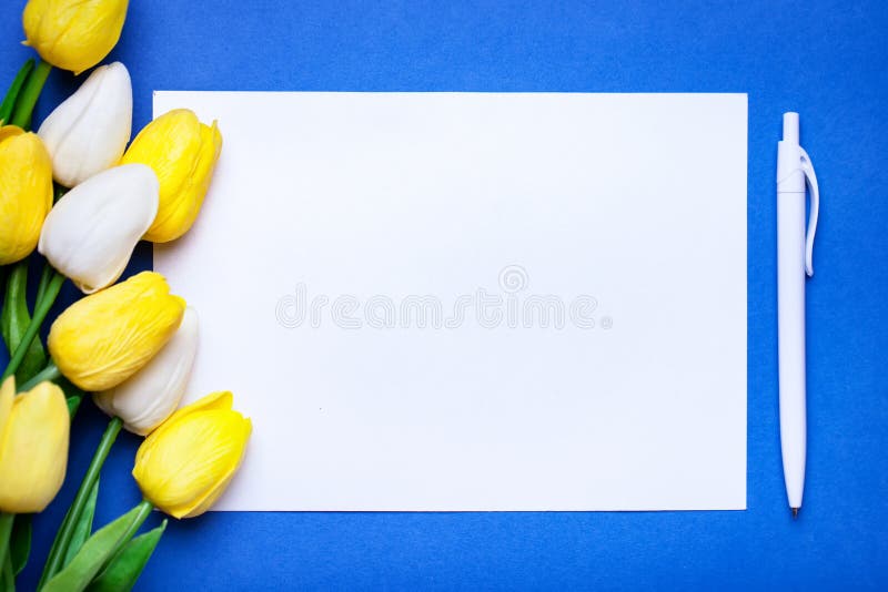 Bouquet of spring tulips on a bright background. Greeting card. Space for text. stock photography