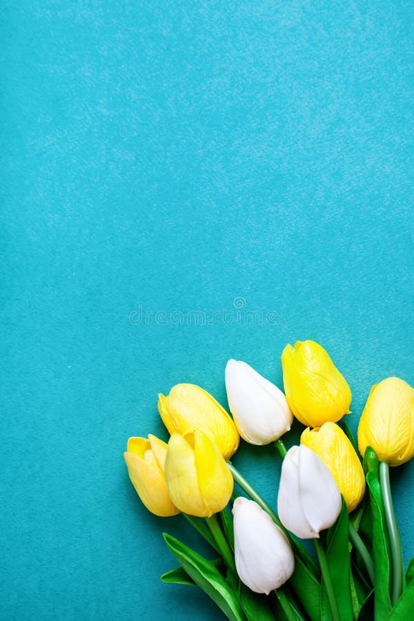 Bouquet of spring tulips on a bright background. Greeting card. Space for text. stock photo