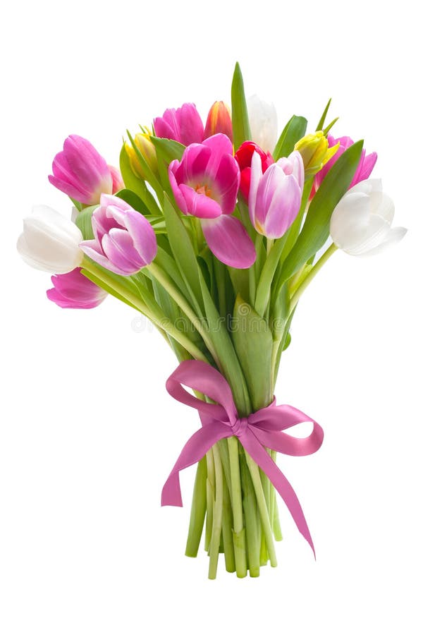 Bouquet of spring tulips flowers royalty free stock photo