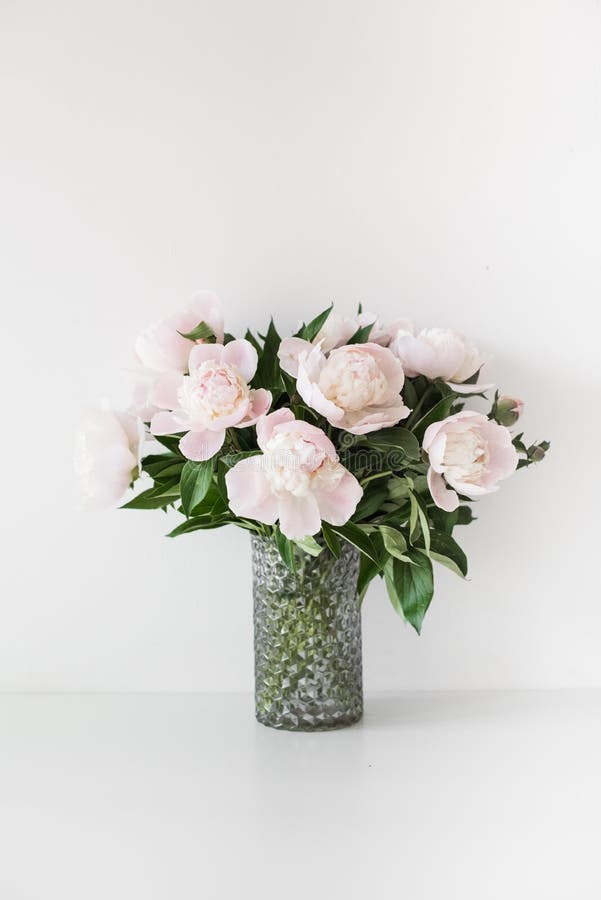 Bouquet of tender pink peonies in vase near white wall