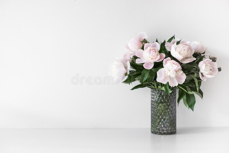 Bouquet of tender pink peonies in vase near white wall