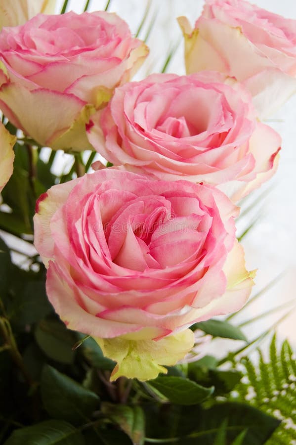 Bouquet of tender pink roses