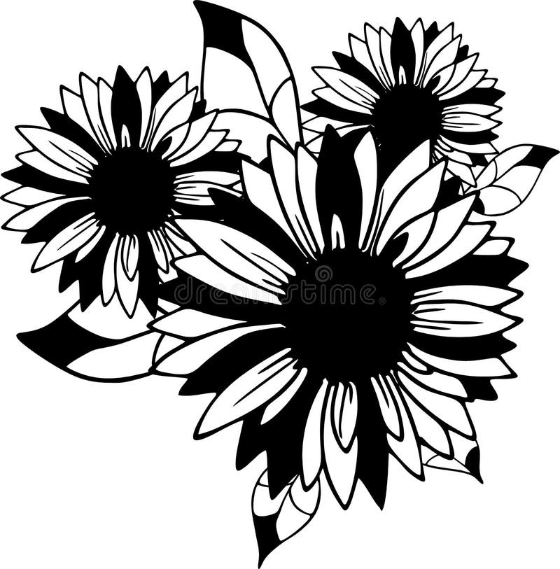 Bouquet of Three Black and White Flower Buds, Isolated Element Stock