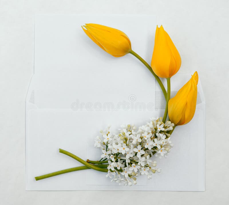 Bouquet of tulips in an envelope stock photos