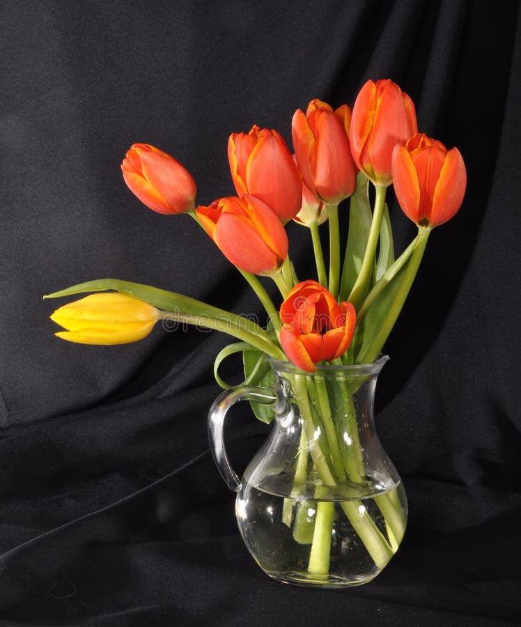 Bouquet Of Tulips In A Glass Vase Stock Image Image Of Black Spring 23758361