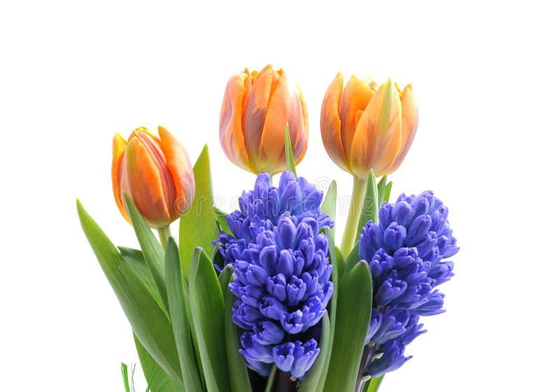 Bouquet of tulips and hyacinths