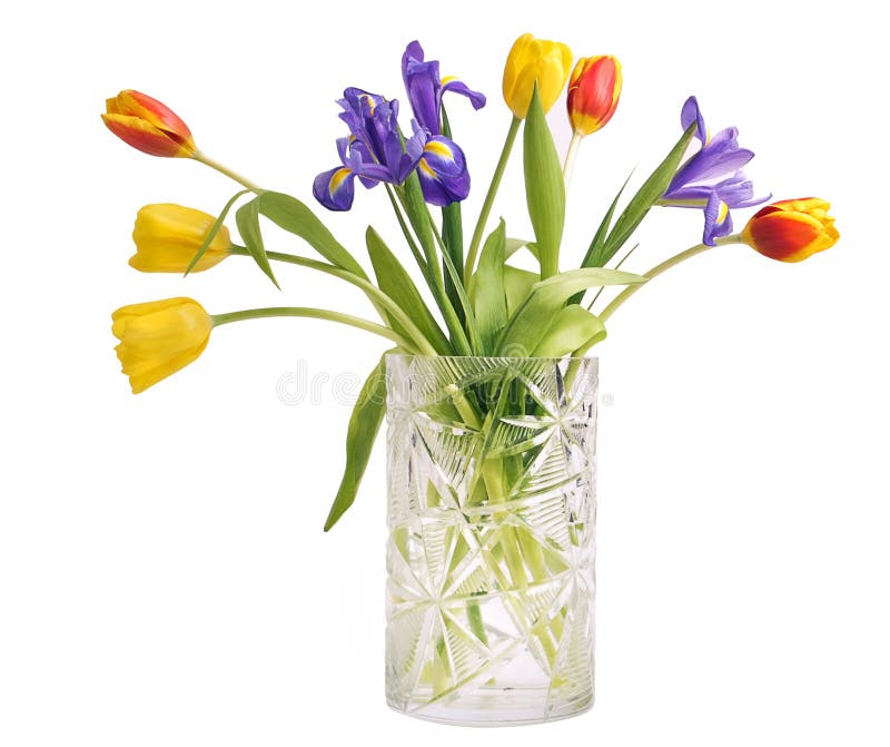 Bouquet Of Tulips And Irises Stock Image Image of flower, colorful