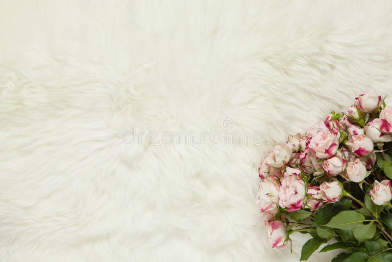 Bouquet van kleine rozen op melkwitte pelsvloerbedekking Achtergrond met kopieerruimte voor tekst, vlakke laag Bovenaanzicht 8 ma