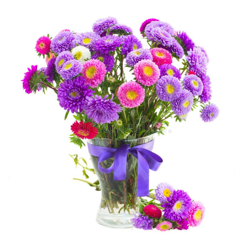Bouquet of Violet and Pink Aster Flowers Stock Image - Image of nature,  daisy: 33745873