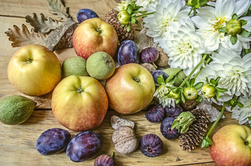 Bouquet of white dahlias with apples, green nuts,prunes and figs royalty free stock photography