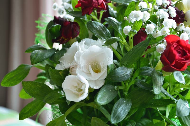 Bouquet of White Flowers and Small Roses Stock Photo Image of floral