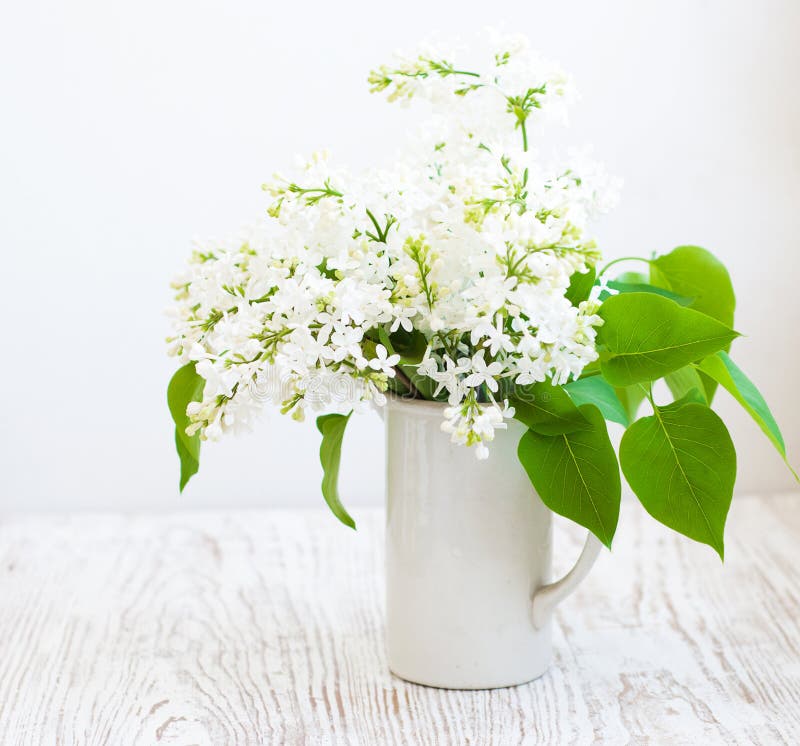 Bouquet of a white lilac stock image. Image of plant - 31357871