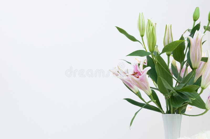 Bouquet of white lilies in a white vase on white background