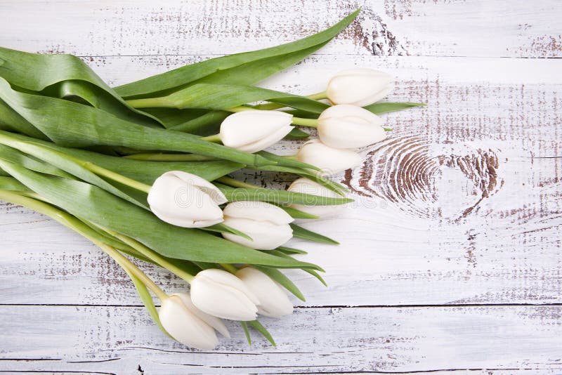 Bouquet of white tulips over white wooden table