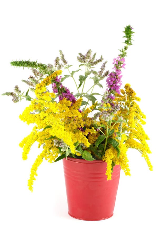 Bouquet of wild flowers stock image. Image of pail, stem 26036859