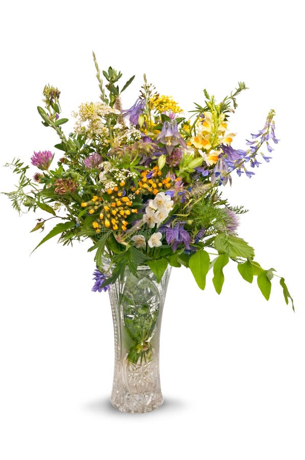 Bouquet of wild flowers isolated