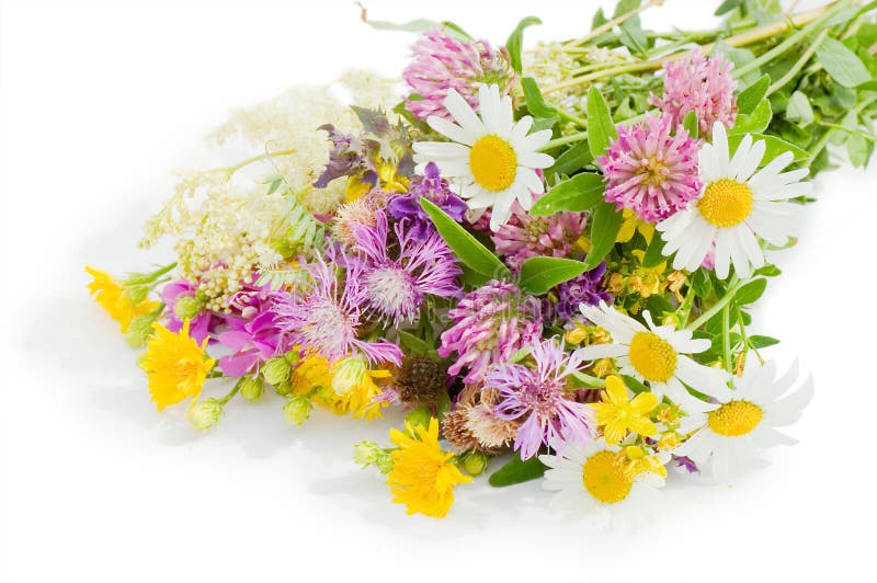 Bouquet of wild flowers isolated over white