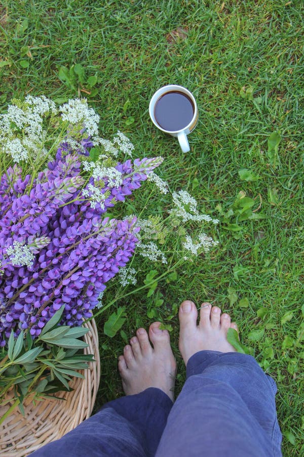 Motif of a woman standing barefoot on the grass, wild flowers and a cup of coffee stock image Motif of a woman standing barefoot on the grass, wild flowers and a cup of coffee stock image