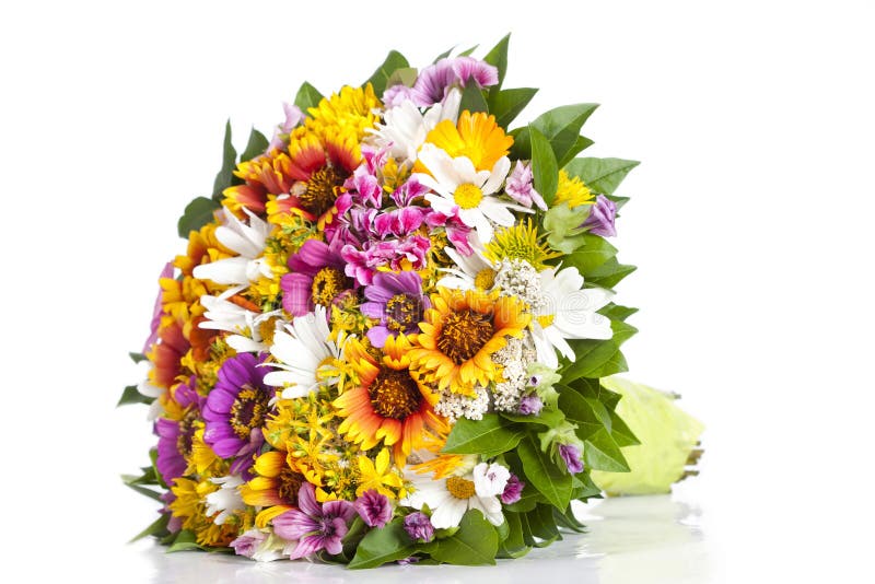 Beautiful Bouquet of Wildflowers Stock Photo Image of daisy, isolated