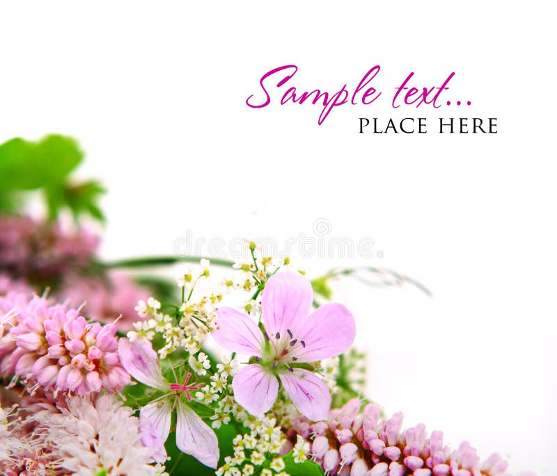 Bouquet of wild flowers on a white background