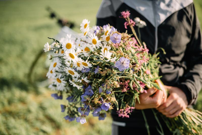 Bouquet of Wildflowers in Girl Hands Stock Image - Image of posy ...