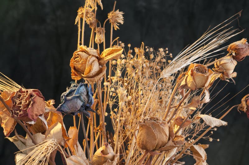 A bouquet of withered roses and flowers