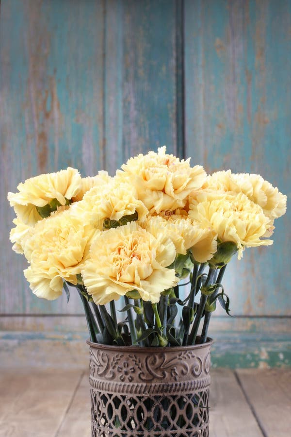 Bouquet of Yellow Carnations Stock Photo Image of emotions, hope