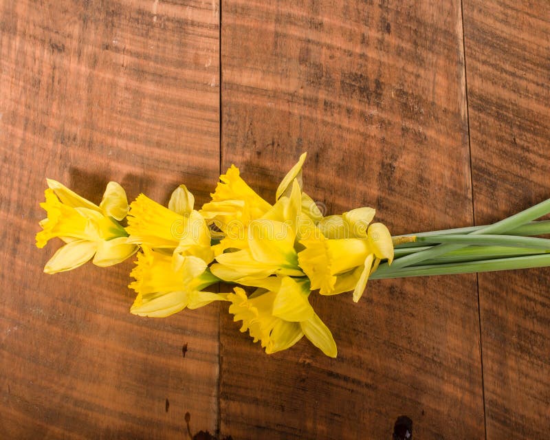 Bouquet of Yellow Daffodils Stock Photo Image of blossoming, seasons