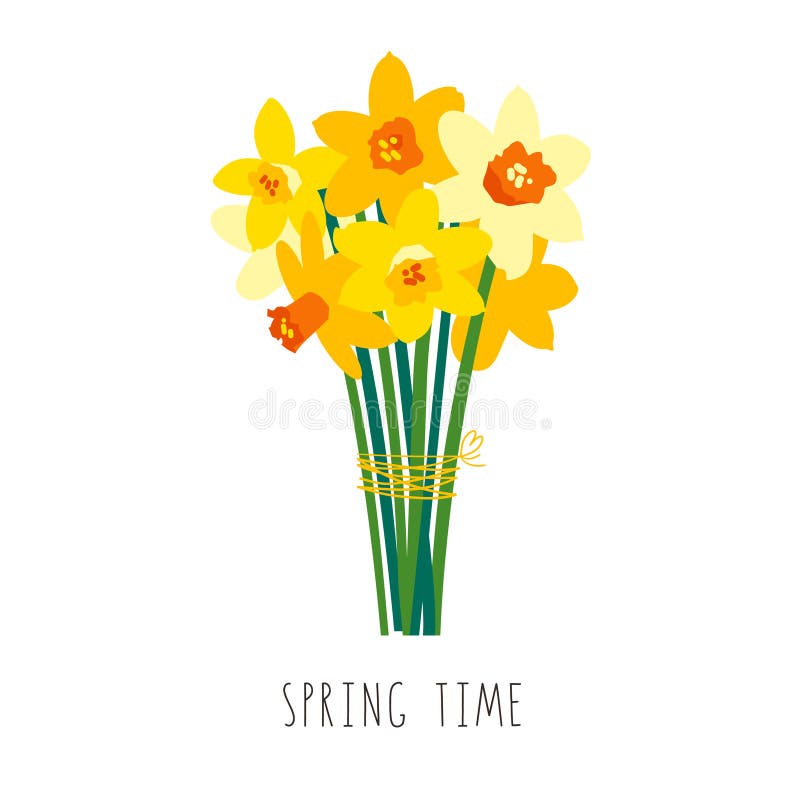 Bouquet of yellow daffodils isolated on white. Floral illustration. Greeting card template for bright spring design