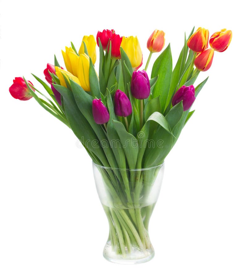 Bouquet Of Yellow, Purple And Red Tulips Stock Photo - Image of ...