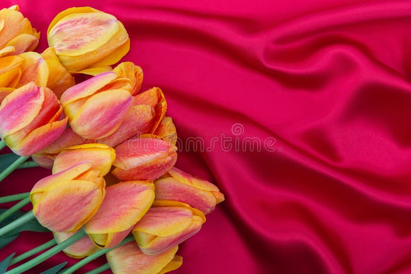 Bouquet of yellow red tulips on a bright red silk background.Flat lay.Copy space.Ð¡oncept of gifts, decorative design of