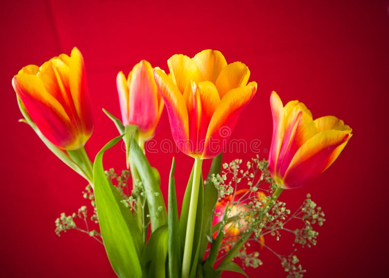 Bouquet of yellow-red tulips