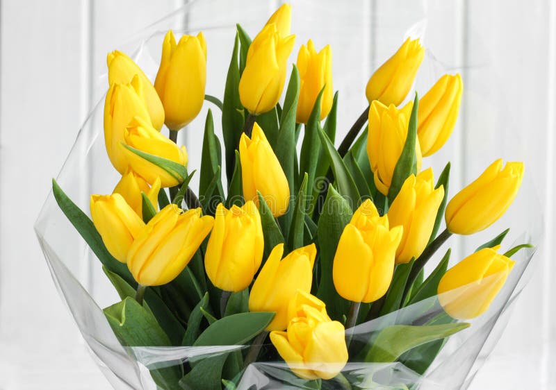Bouquet of yellow tulips stock image. Image of wild, detailed 7418349