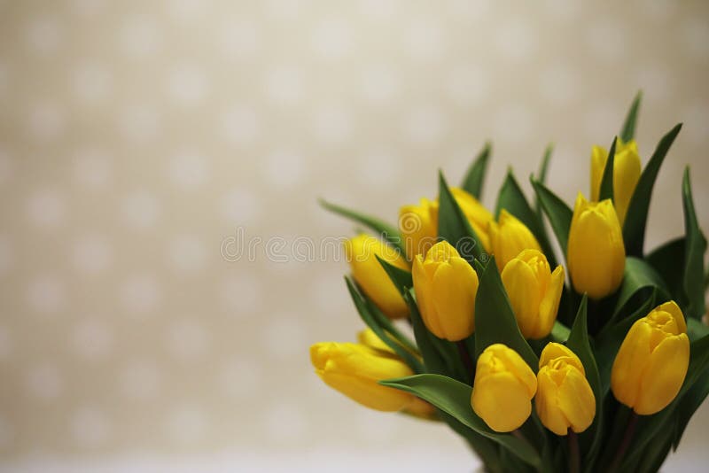 A Bouquet of Yellow Tulips in a Vase on the Floor. a Gift To a W Stock ...