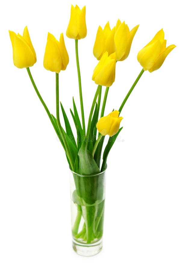 Tulips in vase stock photo. Image of pretty, spring, flower 7518144