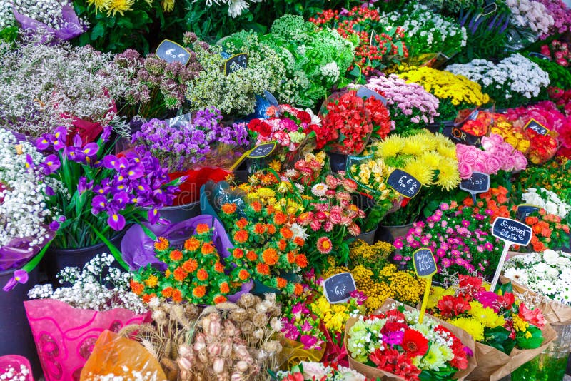 Bouquets of Flowers in Paris Stock Photo Image of attractive, beauty