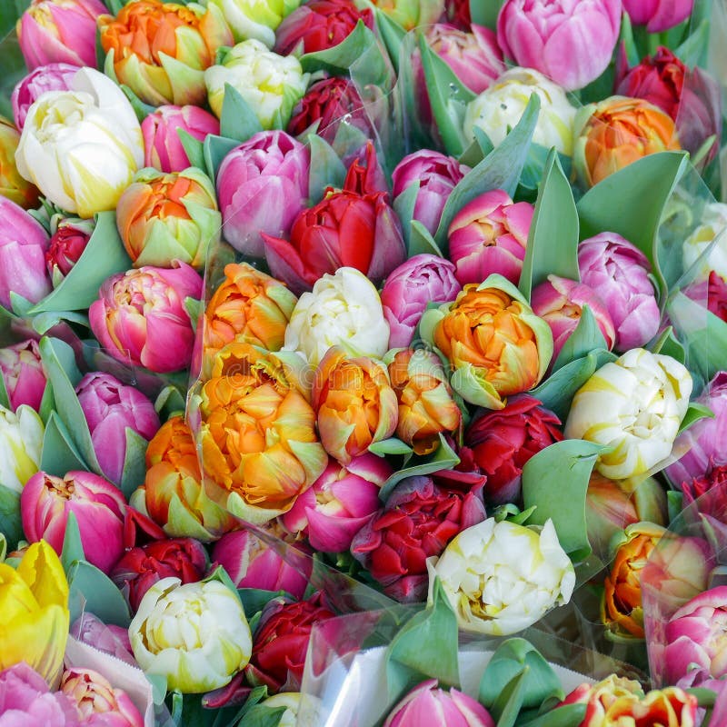 Bouquets with Tulips for Sale. Stock Image Image of decoration, group