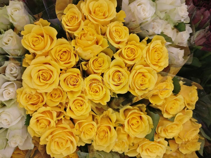 Bouquets of yellow roses stock image. Image of awesome 94878047