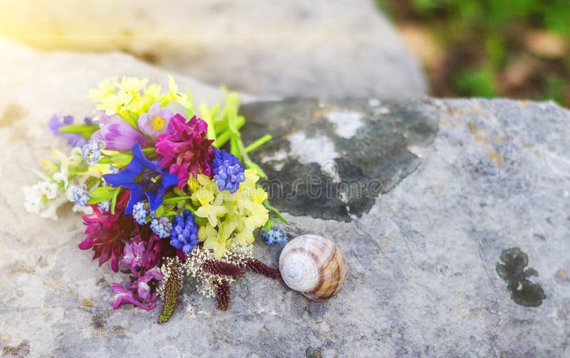 Bouquette van bloemen en een slak op een grote grijze kei royalty-vrije stock foto's Bouquette van bloemen en een slak op een grote grijze kei royalty-vrije stock foto's