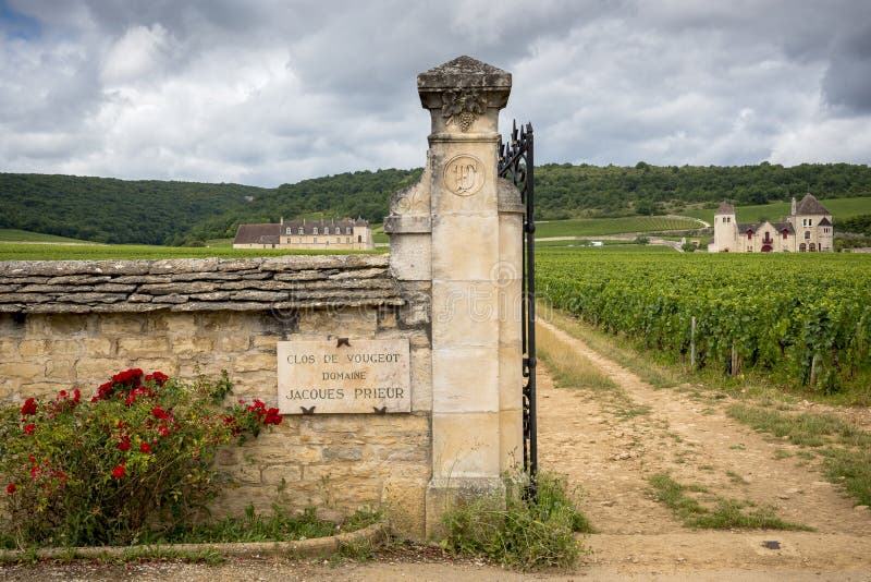 Bourgogne, Clos de Vougeot france Présentez sur une aire d'environ 50 hectares, Clos de Vougeot est une appellation de grand cru images stock Bourgogne, Clos de Vougeot france Présentez sur une aire d'environ 50 hectares, Clos de Vougeot est une appellation de grand cru images stock