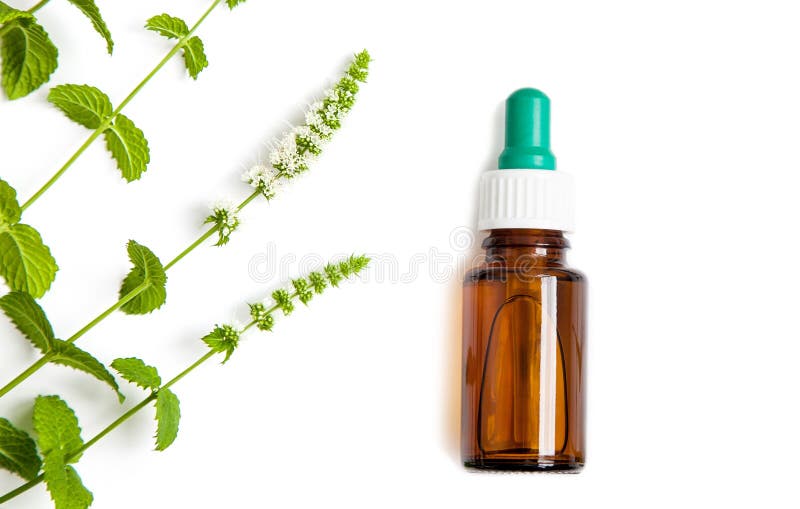 Bouteille de compte-gouttes de phytothérapie avec les branches en bon état vertes sur le fond blanc image libre de droits Bouteille de compte-gouttes de phytothérapie avec les branches en bon état vertes sur le fond blanc image libre de droits