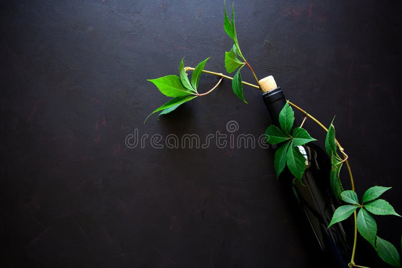 Bouteille de vin rouge, de raisins et de feuilles se trouvant sur le fond en bois foncé photos libres de droits Bouteille de vin rouge, de raisins et de feuilles se trouvant sur le fond en bois foncé photos libres de droits