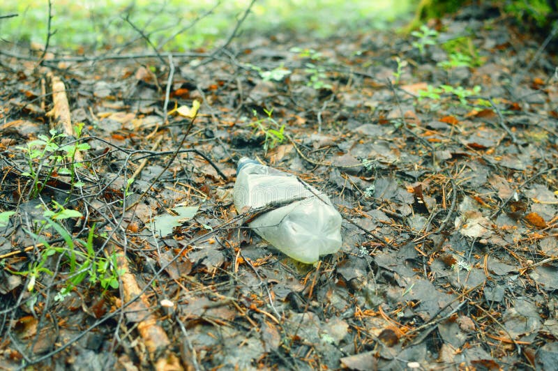 Bouteille en plastique dans la forêt au sol photo stock Bouteille en plastique dans la forêt au sol photo stock