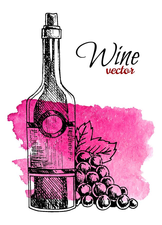 Bouteille tir?e par la main de vin et de raisin sur le fond d'?claboussure d'aquarelle R?tro illustration de vecteur de style illustration de vecteur Bouteille tir?e par la main de vin et de raisin sur le fond d'?claboussure d'aquarelle R?tro illustration de vecteur de style illustration de vecteur