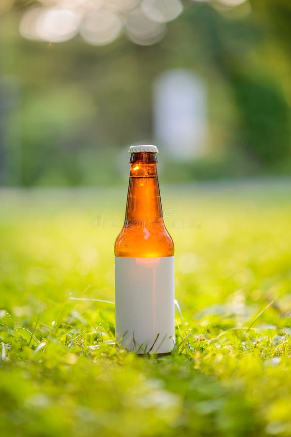 Bouteille à bière vide de label dans l'herbe images stock Bouteille à bière vide de label dans l'herbe images stock