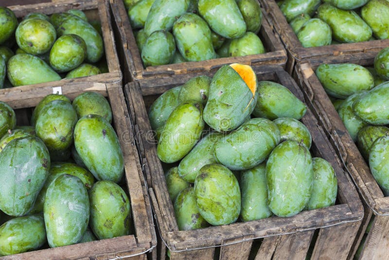 Boutique de fruit de mangue dans Sri Lanka photos libres de droits Boutique de fruit de mangue dans Sri Lanka photos libres de droits