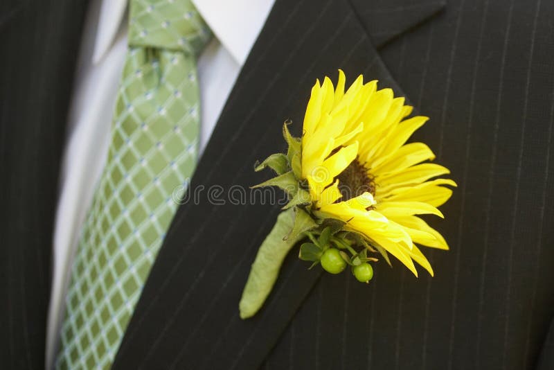 Sunflower wedding boutonniere on suit jacket of groom. Sunflower wedding boutonniere on suit jacket of groom