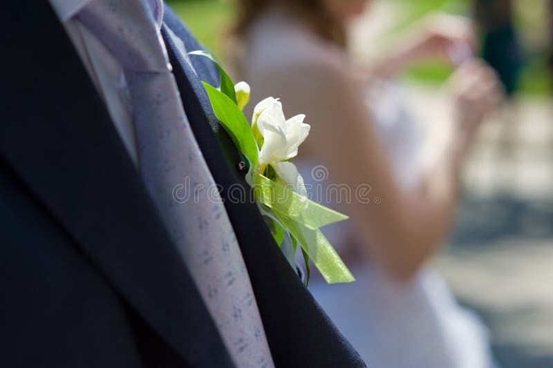 Boutonniere per il vestito dello sposo fotografia stock libera da diritti Boutonniere per il vestito dello sposo fotografia stock libera da diritti