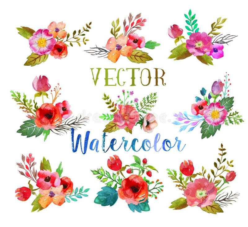 Boutonnières d'aquarelle de vecteur illustration libre de droits Boutonnières d'aquarelle de vecteur illustration libre de droits